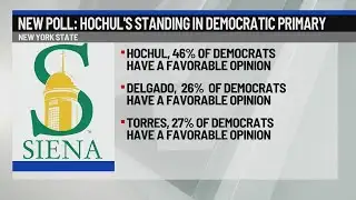 New Siena Poll: Hochul