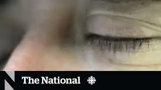 New sleep study examines how brains function on less sleep