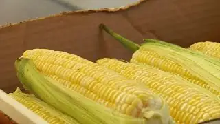 New study shows grocery store needed in Roanoke neighborhood