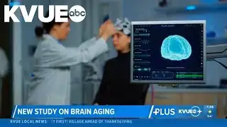 New study shows human brain has 4 