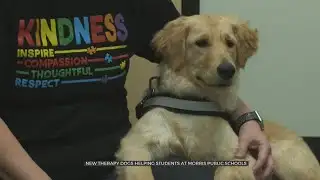 New Therapy Dogs Helping Students At Morris Public Schools