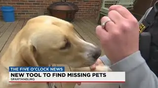 New tool aims to reunite lost pets with owners