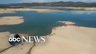 New UN climate report: ‘Delay means death’