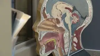 New UnityPoint Health ENT clinic