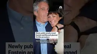 Newly public emails reveal Epstein and Maxwell planned fertility procedure