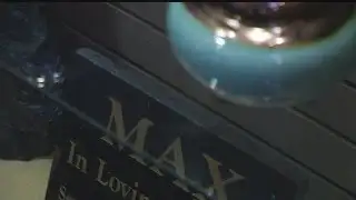 News 2 I-Team: Pet Cremation