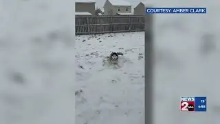 News 2 viewers submit snowy weather videos