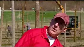 News 8 Eye Piece - Tree Planting