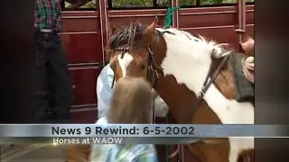News 9 Rewind: Animals visit News 9