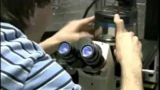 News at Northwestern - Sticky Science