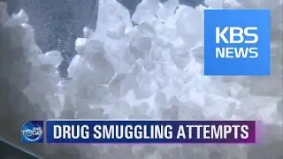 NEWS BRIEF / KBS뉴스(News)