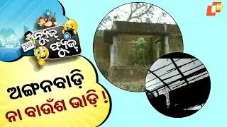 News Fuse 17 JUNE 2025