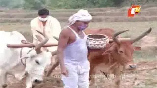 News Fuse 19 May 2021