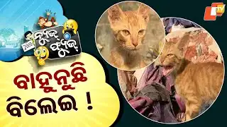 News Fuse 26 November 2025