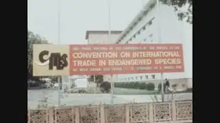 News Item (316d9daf-9f4f-9ef1-1a4a-efe380d894c8)