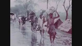 News Item (3db1f16a-4e6a-fb99-9c80-56b1453c60db)