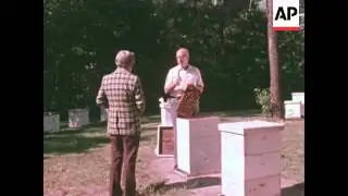 News Item (e090784a-521d-712f-650d-4b1ccd8373b1)