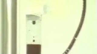 News Report-Dai Ai TV