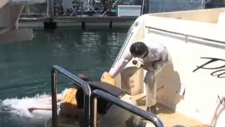 News reporter knocks man overboard on live TV