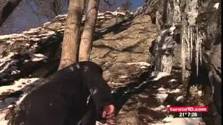 News reporter slips on ice