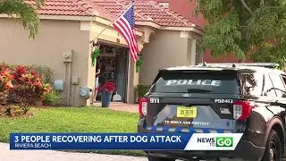 News To Go: December 24, 2025