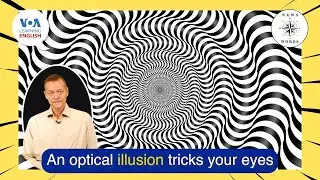 News Words: Illusion