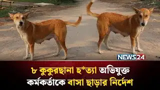 ৮ সন্তান হারিয়ে বিচার চাইছে মা কুকুর | NEWS24