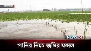নীলফামারীতে খালের পাড় ভেঙে পানির নিচে জমির ফসল | NEWS24
