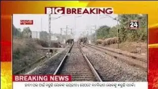 ଗାଁ ମୁହାଁ ଜଙ୍ଗଲୀ ହାତୀ । ଲୋକେ ଭୟଭୀତ। ଲୋକଙ୍କୁ ସତର୍କ କରୁଛି ବନବିଭାଗ NEWS24LIVE.