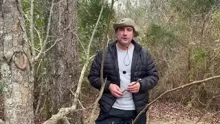 News4 First Alert Weather Extra: In the Yard with David Ep. 44