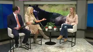 News4 Morning Mingle | Wild Hope Equine Center