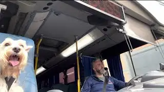 Newshounds Now Update: Riding in style