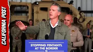 Newsom Slams Trump