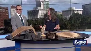 Newstalk Sedgwick County Zoo