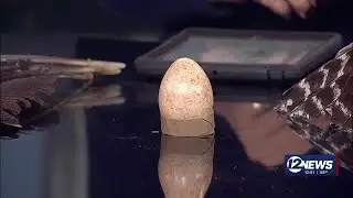 Newstalk Sedgwick County Zoo