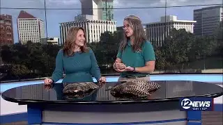 Newstalk Sedgwick County Zoo