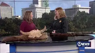 Newstalk Sedgwick County Zoo