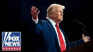 Newt Gingrich: Trump is a political ‘PHENOMENON’