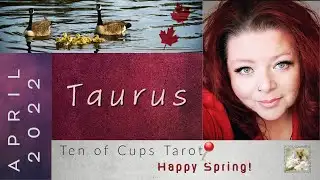 Next 48 Hours TAURUS - Their Silence Is About To Break!