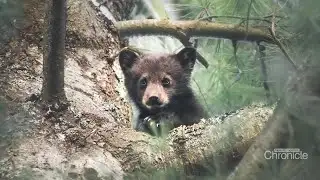 NH Chronicle: Nature Photographer Shaun Terhune