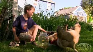 NH Chronicle: Roadside Stands that take The Honor System