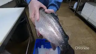 NH Chronicle: UNH Aquafort Project