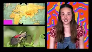 Nick News Break April 2023