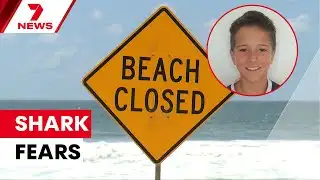 Nico Antic facing ‘worst possible outcome’ after shark attack at Vaucluse | 7NEWS