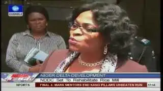 NIGER DELTA DEVELOPMENT