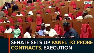 Nigerian Railway Operations: Senate Sets Up Panel To Probe Contracts, Execution