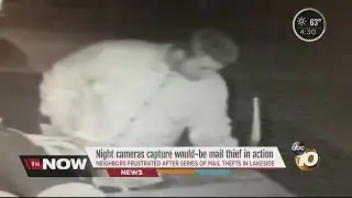 Night cameras capture would-be mail thief in action