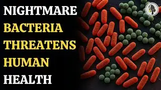 Nightmare Bacteria Rising: The Deadly Superbug Threat Explained | WION Podcast