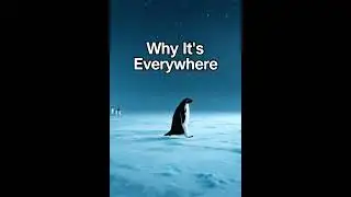 Nihilist penguin is definitely something...