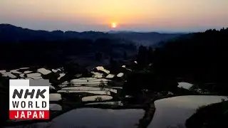 NIIGATA - Hit the Road